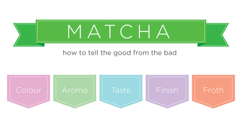 Matcha - How to Tell the Good From the Bad