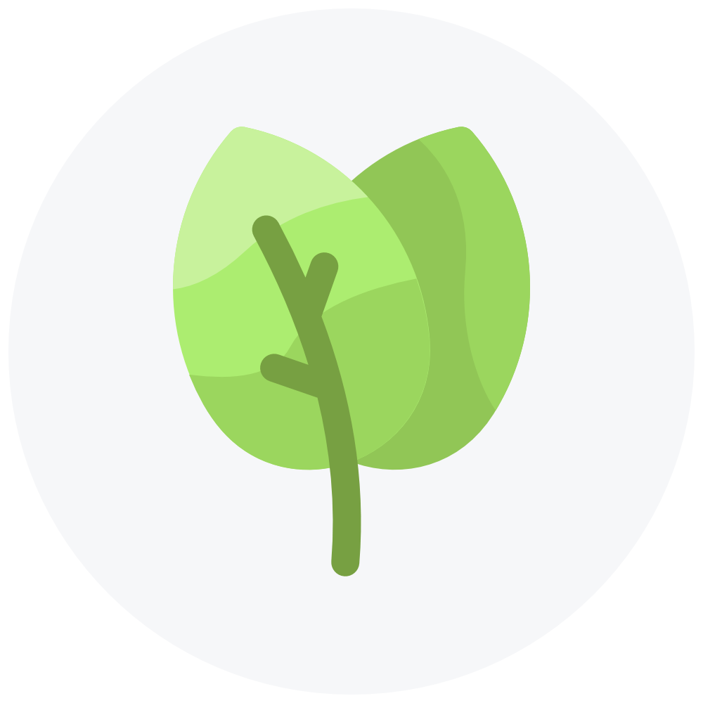 Just Matcha Leaf Icon | 15x Better for you than regular green tea